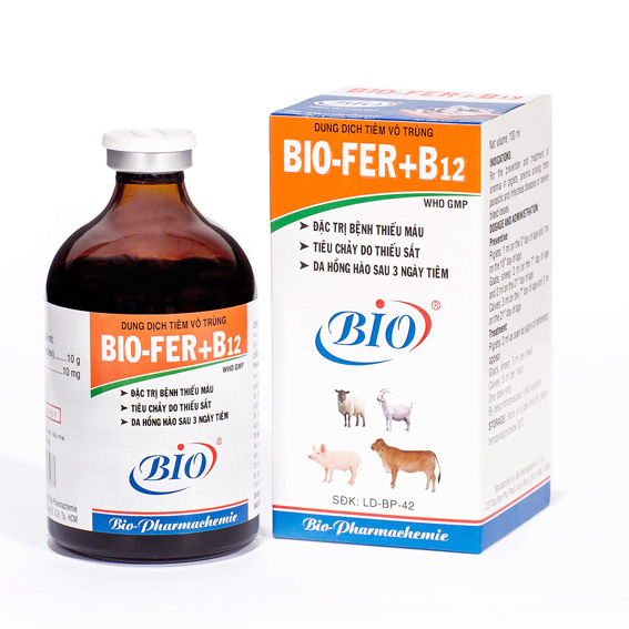 BIOFER B12 BioPharmachemie